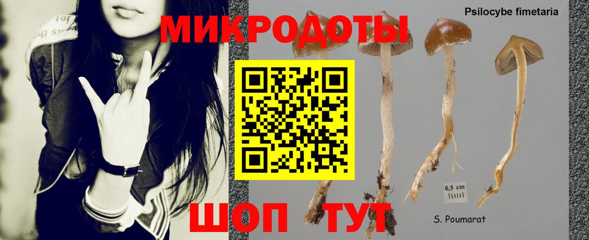 Псилоцибиновые грибы мицелий Южно-Сахалинск